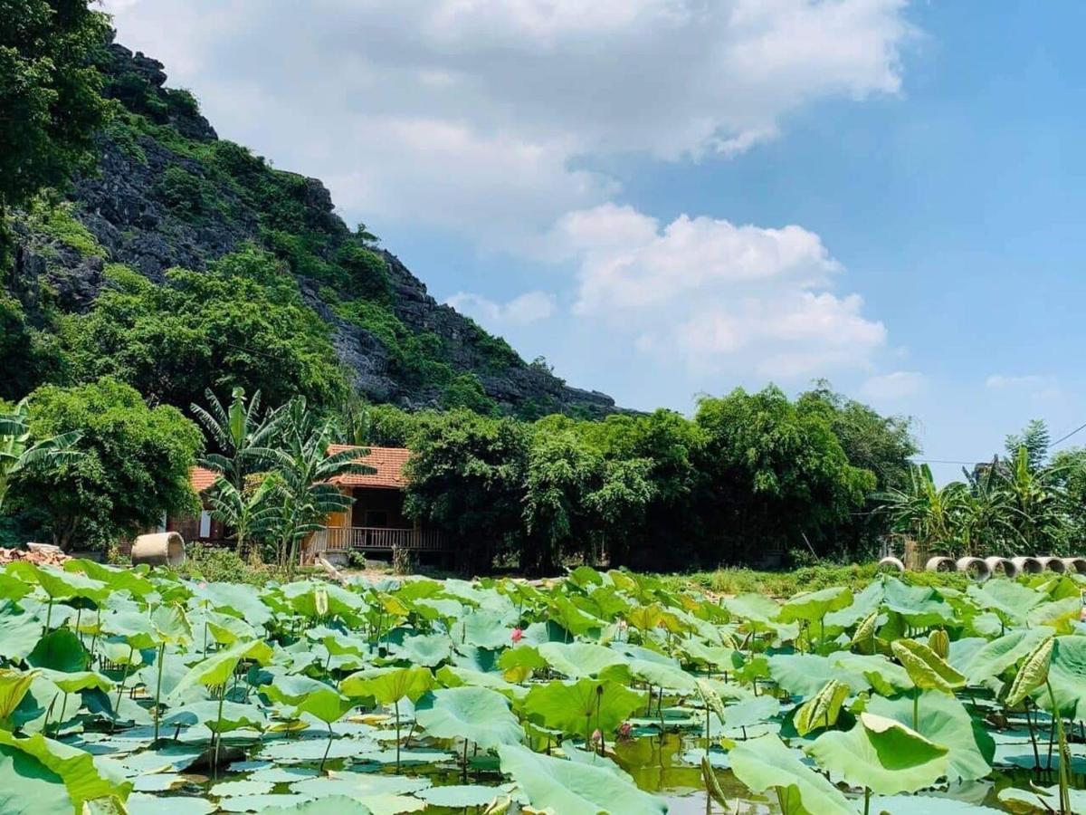 Trang An Lim Garden Hotell Xuan Son Exteriör bild